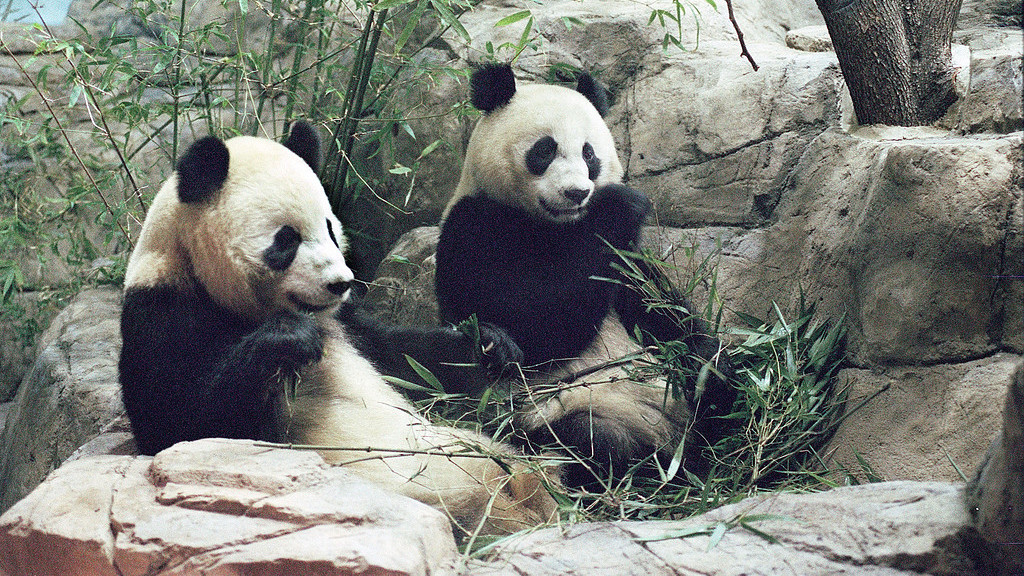 25315期：暄橙福彩3D综合条件