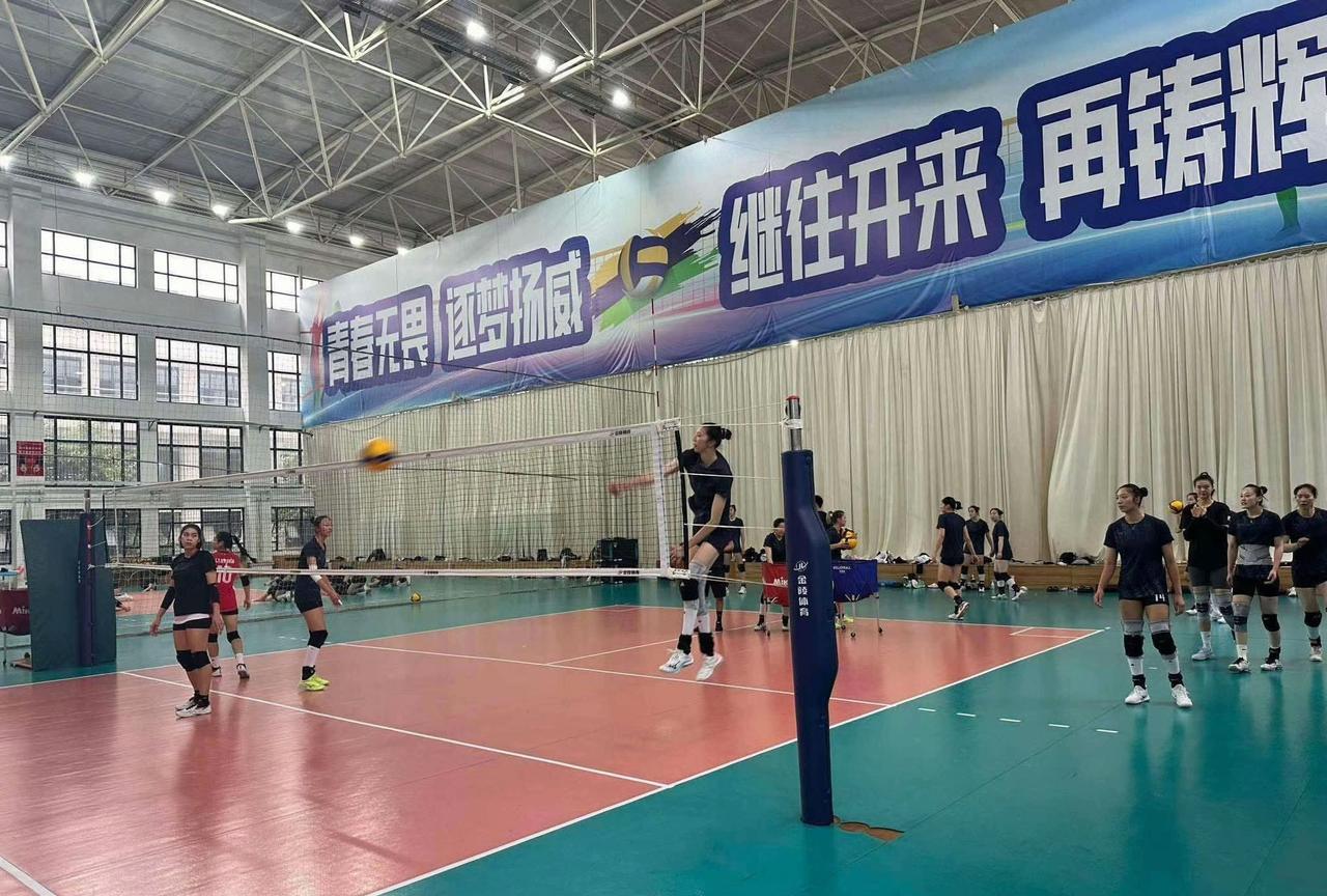 栽下梧桐树引得凤凰来。越南女排球队到访南京与江苏女排打国际交流比赛。江苏女排虽然