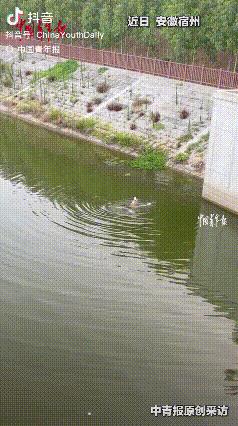 命悬一线！安徽宿州，一女子落水生死一瞬，孩子在岸边撕心裂肺大喊“救命”，危急关头