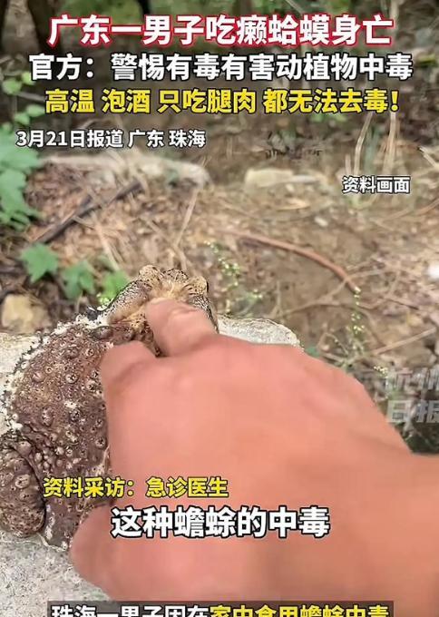 “不作死就不会死！”根据杭州日报3月21日报道，广东珠海，男子想尝试吃一下癞蛤蟆