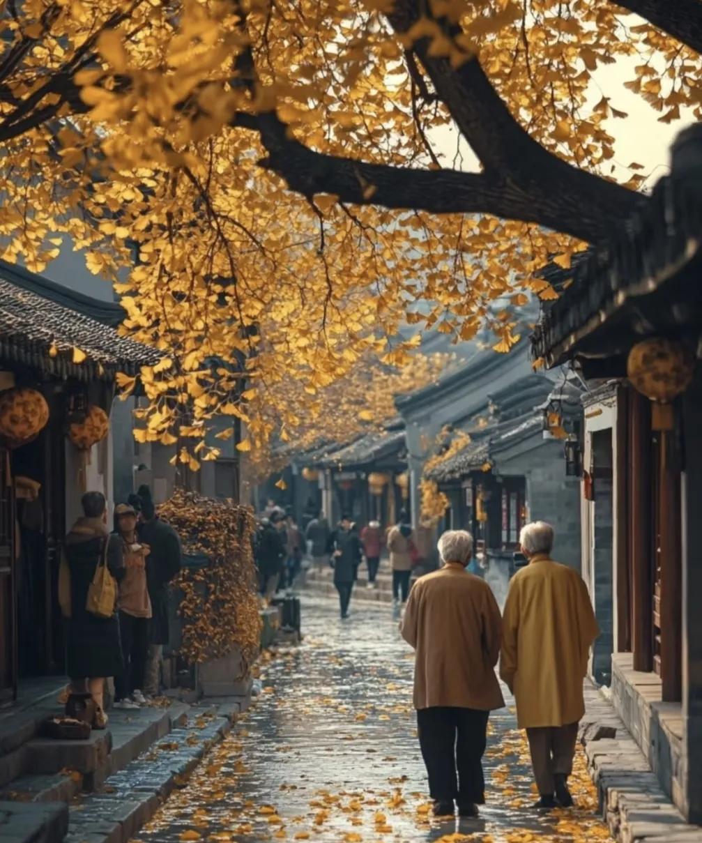 人老了，一定要学会这3件事：
1、学会用手机
现在做什么事都需要用手机，出行、看