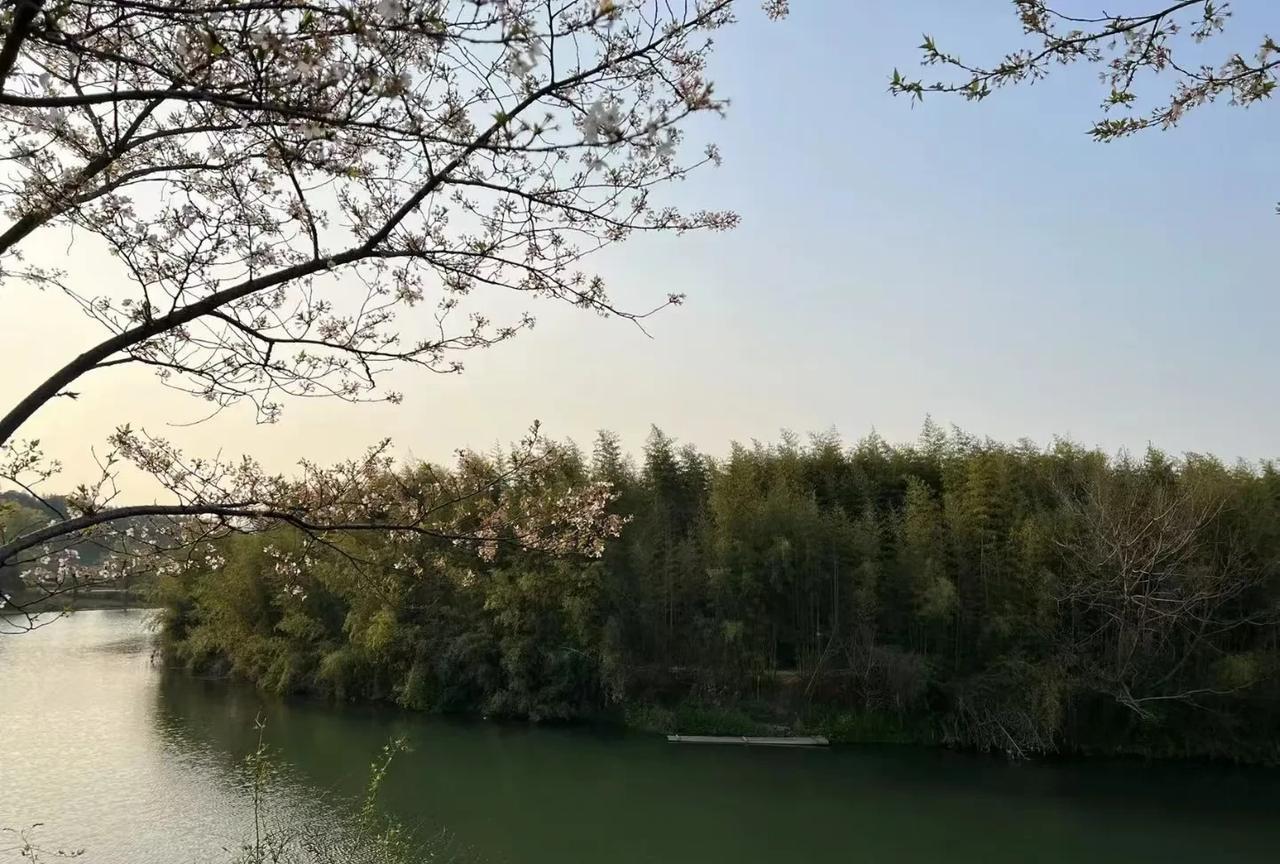 财星特别旺的人，财要不断善破。
比如：在自己的用神方，做慈善，资助贫困儿童。
比