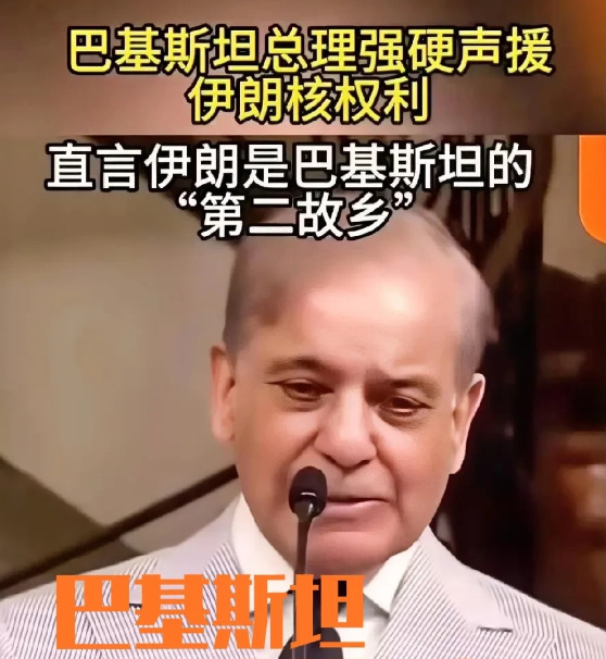 巴基斯坦为啥力挺伊朗











---











你敢信