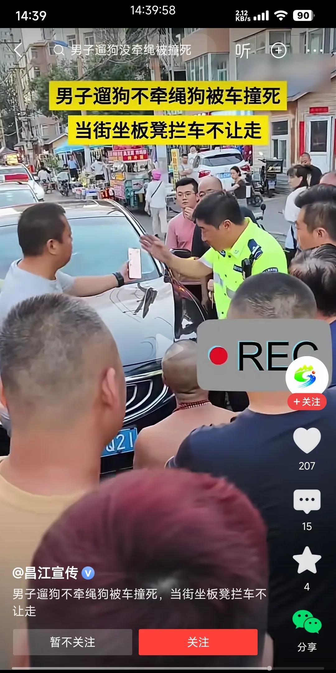 光头大爷遛狗没牵绳，狗被车撞死了！
豪横的大爷直接拿来一张凳子，坐在马路中间不让