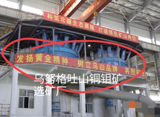 东北大学6名学生在内蒙古矿业实习，因格栅板脱落坠入浮选槽坠落溺亡！很多网友不知道