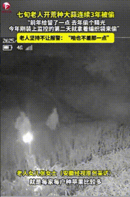 丢人都丢到全村了！
5月26日，山东烟台。张大爷开荒种了些大蒜，收蒜时总让人窝火