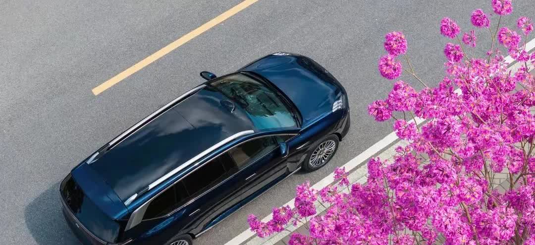 据统计，现在人买车
1.   39%的家庭——买10万元以下的车
2.   