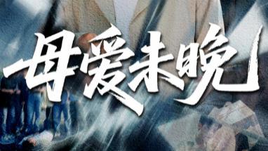 热门短剧分享《母爱未晚》：69 集时光里的情感化石，藏着跨越记忆的爱的密码