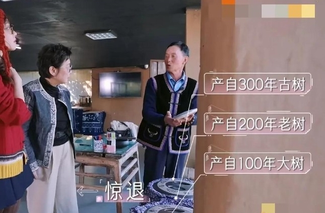 黄圣依妈妈云南拒当 "茶叶冤种"！老板喊 300 块一两她掉头就走：这清醒度建议写进旅游防骗教材！