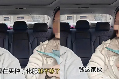 一对年轻夫妻五一休假旅途中，丈夫接到老母从老家打来的电话，说是家里买种子和化肥的