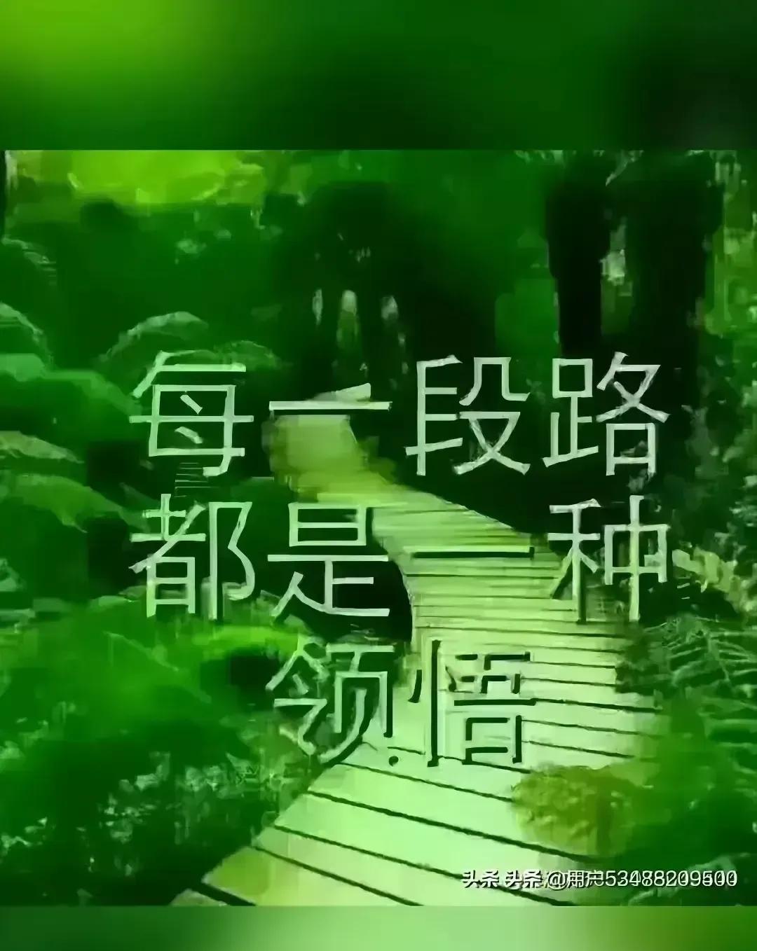 #一人发表一句今天的感悟#
时光从无虚掷，每粒尘埃都铭刻着成长的印记。