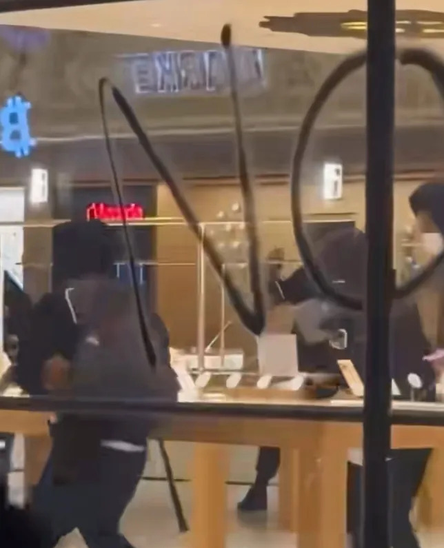 加州暴力：砸抢烧，商家哭





---





加州最近是彻底炸窝了！你可