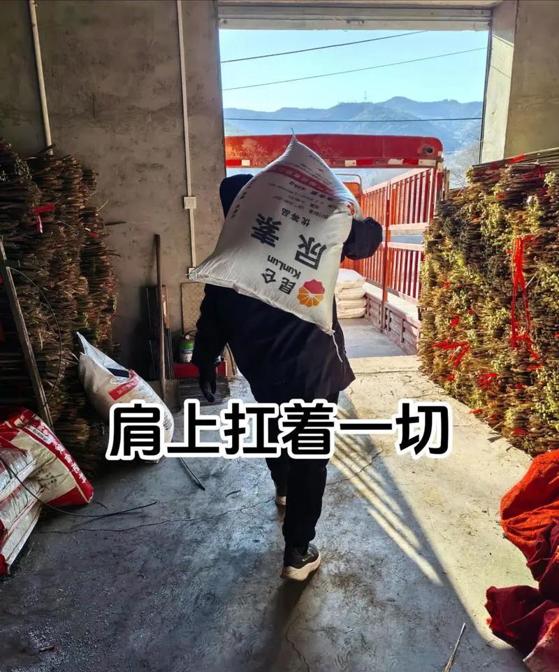 八零后肩上扛着不少。上有年迈父母要赡养，下有孩童待抚育，中间是房贷车贷的压力。职