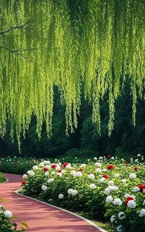 村里有一光掍五十多岁，一生没娶媳妇，无儿无女，现在吃低保，田不种地不耕，全天游荡