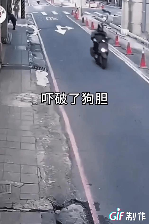 吓破了狗胆
伤都不验了
逃命要紧[捂脸][捂脸]