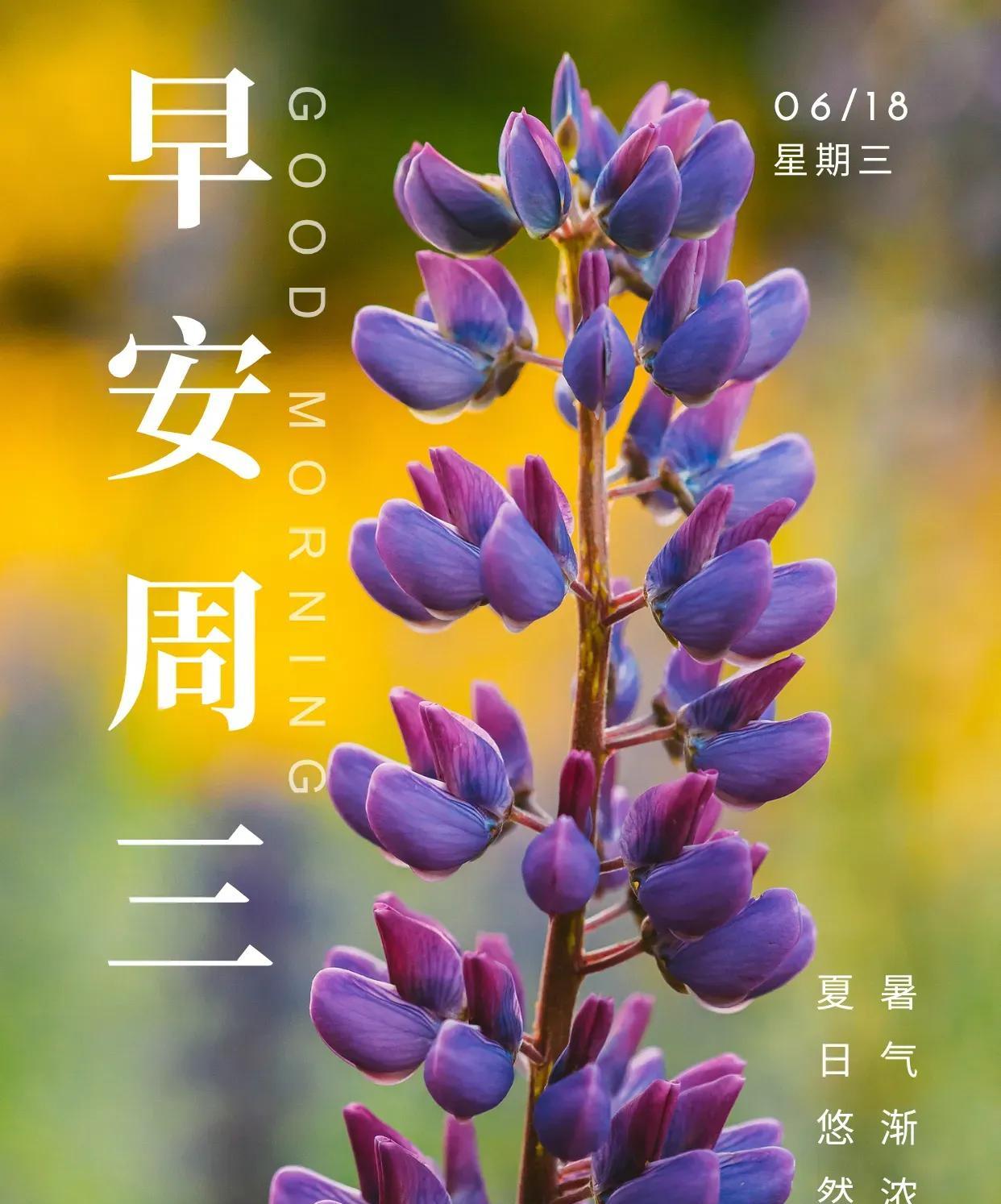 多一些豁达，多一些清凉，生活便会充满美好。珍惜当下，不让时光虚度，不留遗憾，不纠