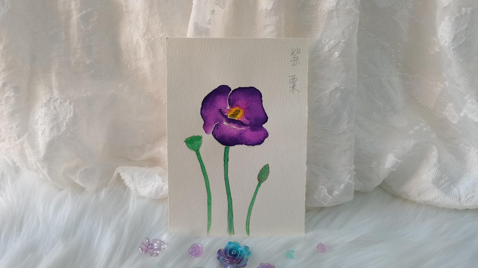 31 紫色罂粟（绘画 | 水彩 | 果花甘05）