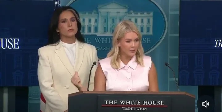 白宫女发言人今天和美国情报总监一同出席新闻发布会。



图尔西·加巴德表示有资