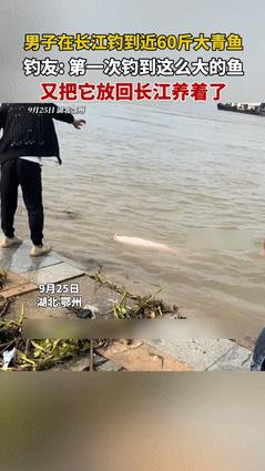 “杀生不虐生！”近日，湖北鄂州一男子，在长江旁边钓到了一条几乎有60斤重的大青鱼