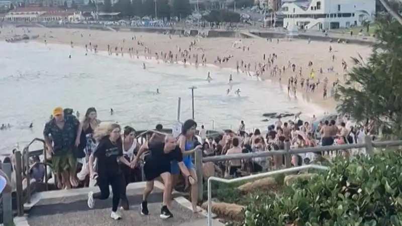 悉尼邦迪海滩枪击事件已致16人遇难，枪手系父子，澳总理定性为恐袭