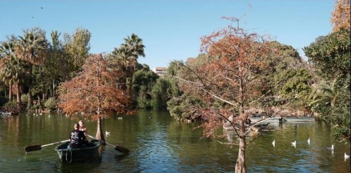 西甲：巴塞罗那-马德里竞技
巴萨中场大师佩德里火线复出，这让球队的实力再次得到了