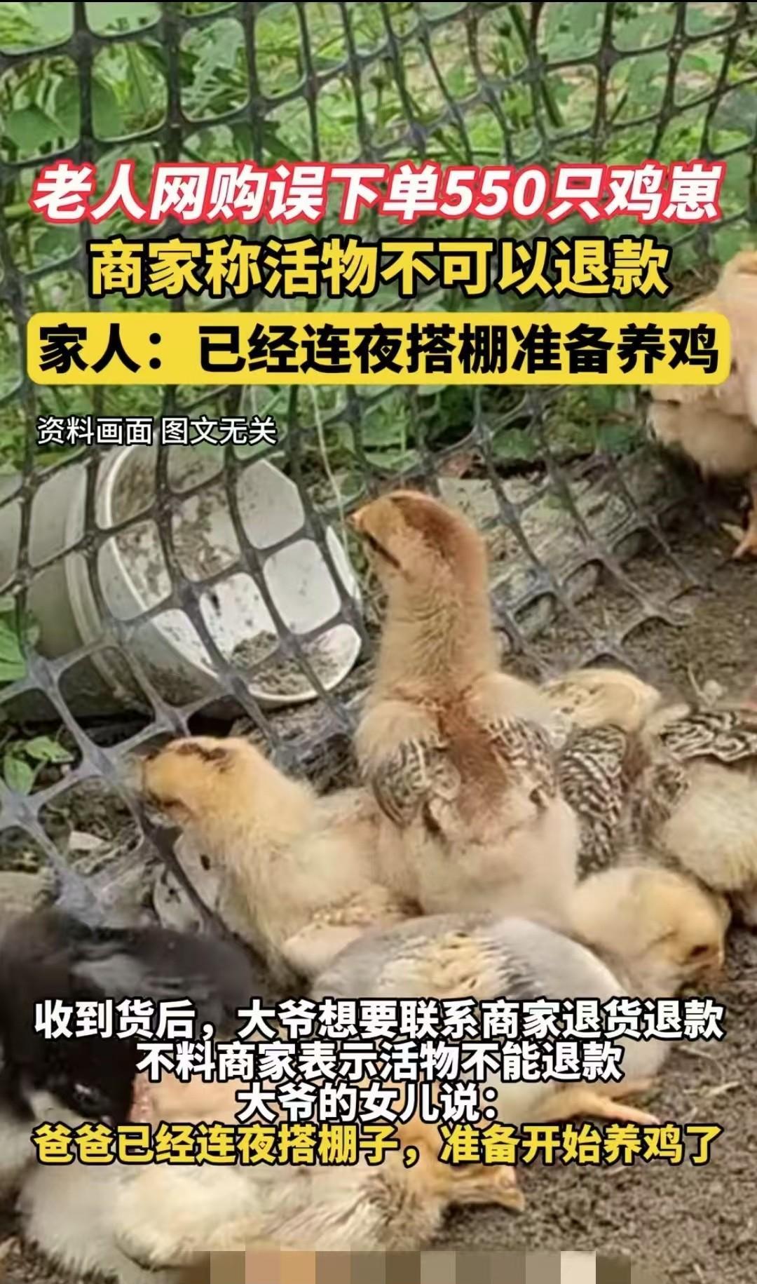 安徽蚌埠，大叔在玩手机时不慎用免密支付买了550只小鸡，又没有办法退货，只能连夜