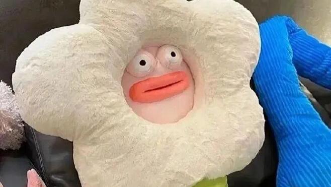 快抄一句，去朋友圈当现世包吧