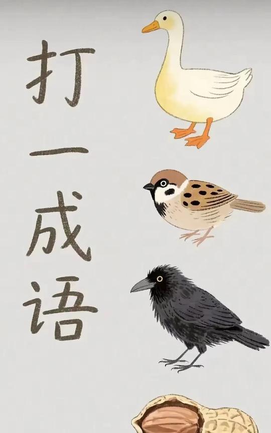 看图猜成语，先认识这几只小鸟叫啥，它们和花生凑一块了结果会怎么样，使劲地啄食，不