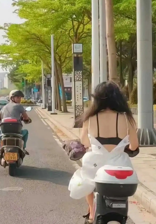 这出车祸了，不能怪后车吧？！