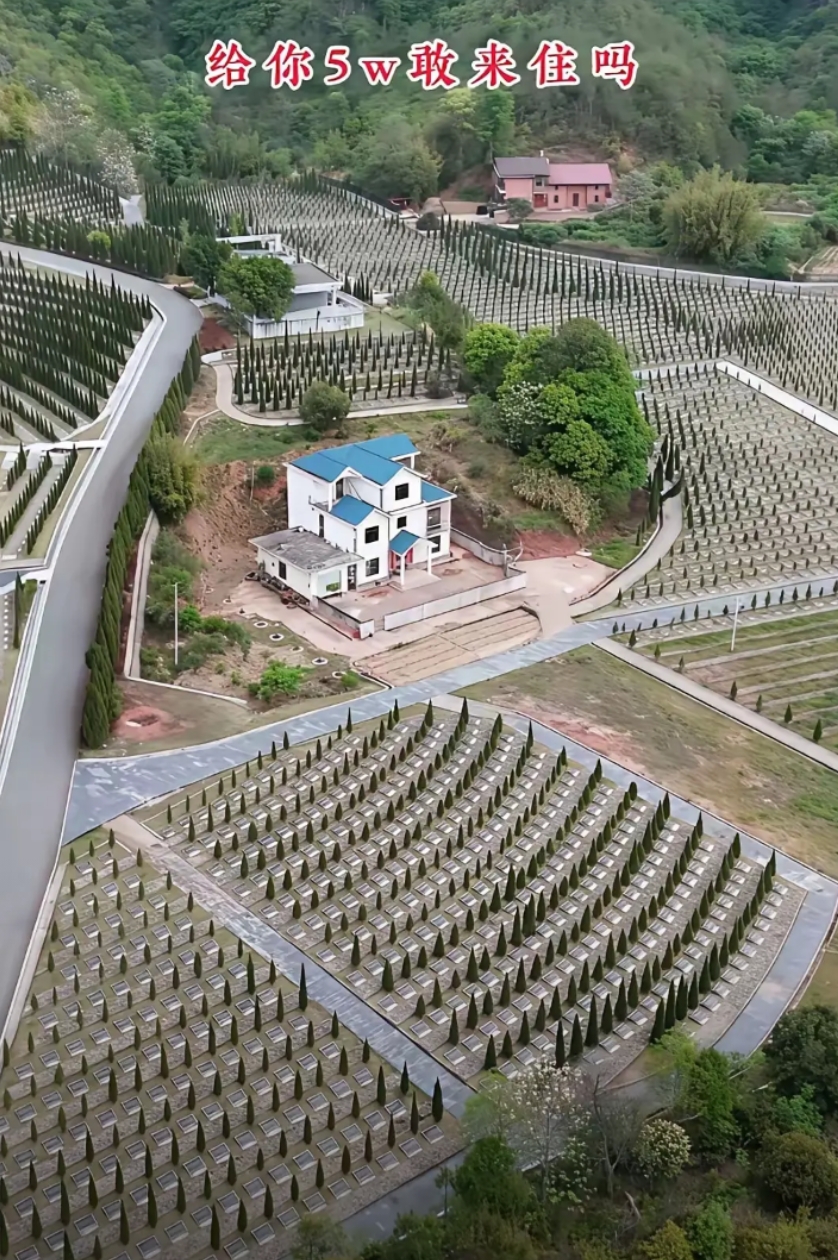 别说给我五万了，给我一万一个月我也愿意住呀，你们呢