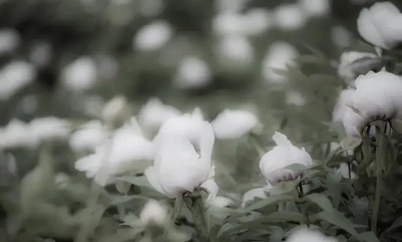 北大文学系教授，于丹老师在他的著作《于丹》论语心得一书中，讲过：一个人35岁之前