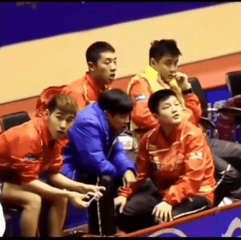 国乒曾经岁月静好，为何现在不能回到从前呢？
陈杞对樊振东笑得那么灿烂，让人回忆起