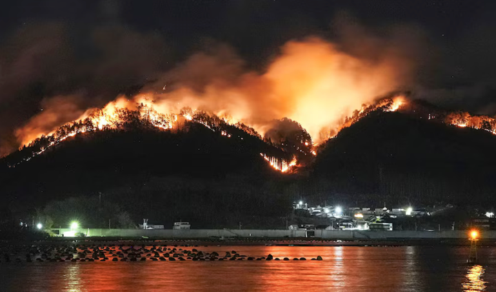 损失惨重！日本遇数十年来最严重山火