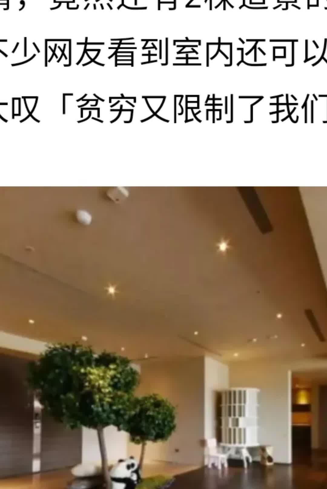 大S豪宅的高额电费的原因，现在有网友说知道了，因为这个豪宅有24小时的恒温系统，