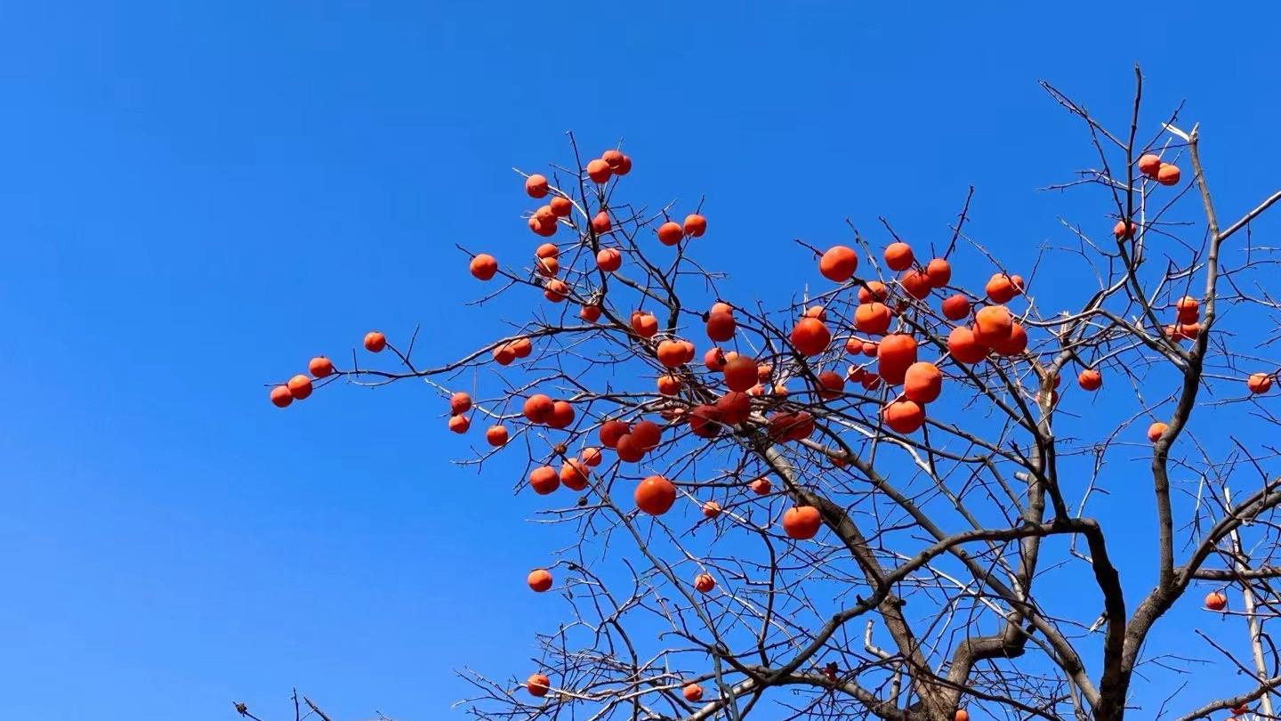 2025大总结（精辟）