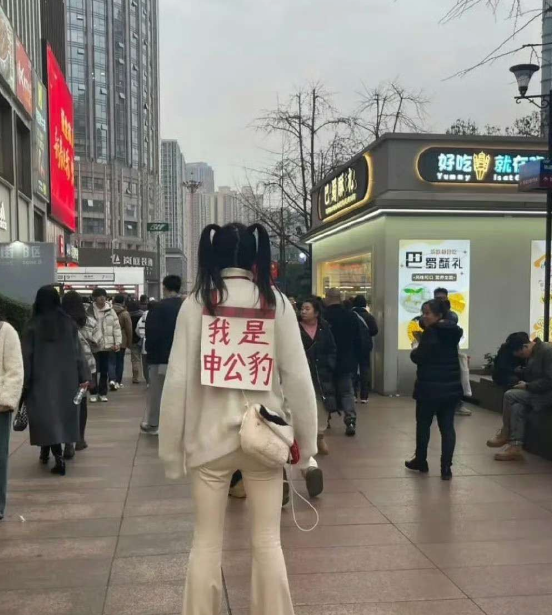 果然还是云贵川包容性最强