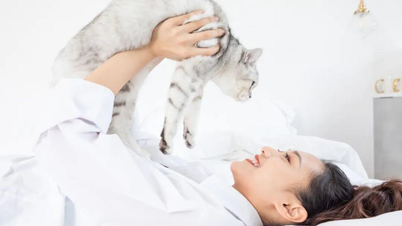 养宠三年，我家猫的恩格尔系数已经比我低了