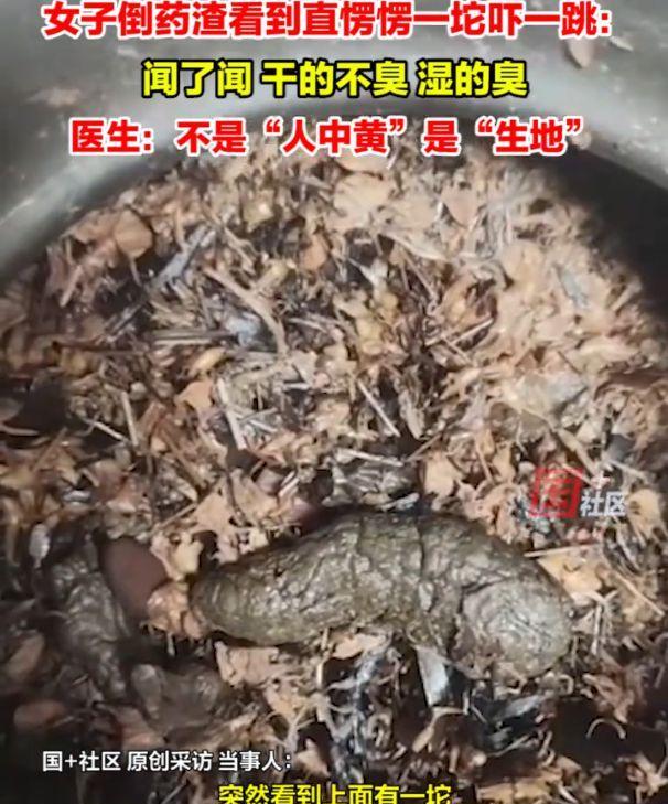一女子去看中医，开了几副中药回家自己熬，当她将药熬好准备倒掉药渣时，万万没想到：