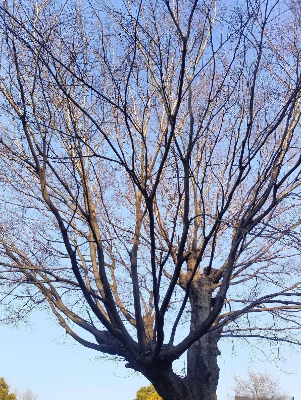 公公抱着刚满月的孙女沉着脸对我说：“生丫头就是丢人，我在老家抬不起头。”我直接把