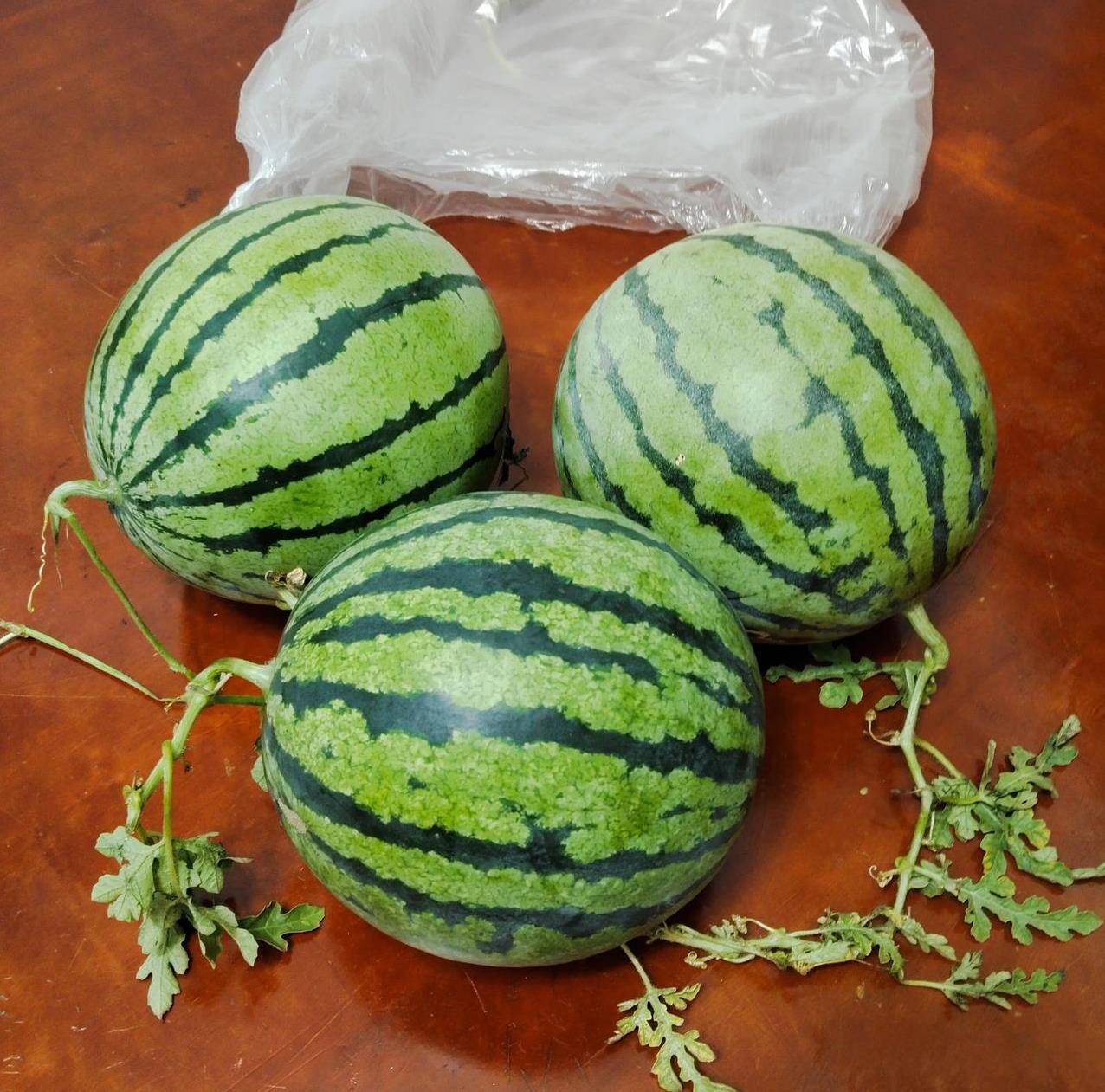 晚上十一二点，路上还有人在卖西瓜，这些人真的太不容易了！西瓜大喊8毛钱一斤，我挑
