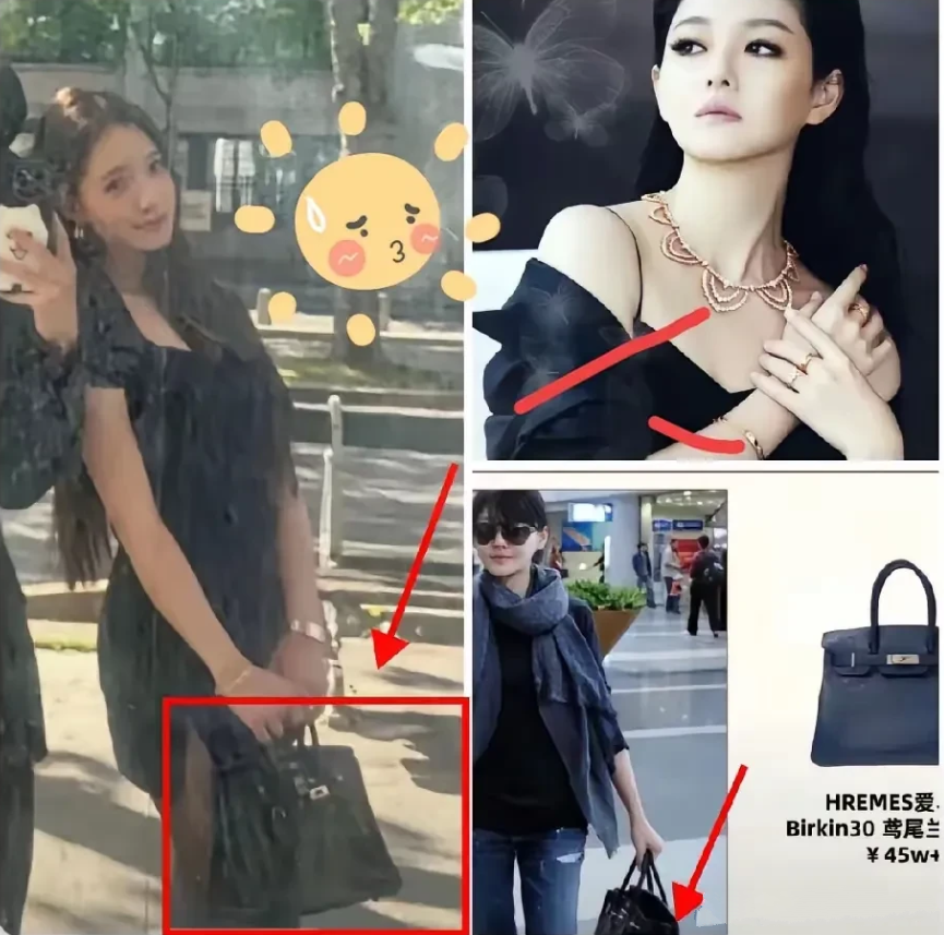 小 S 女儿挎大 S 同款包引争议