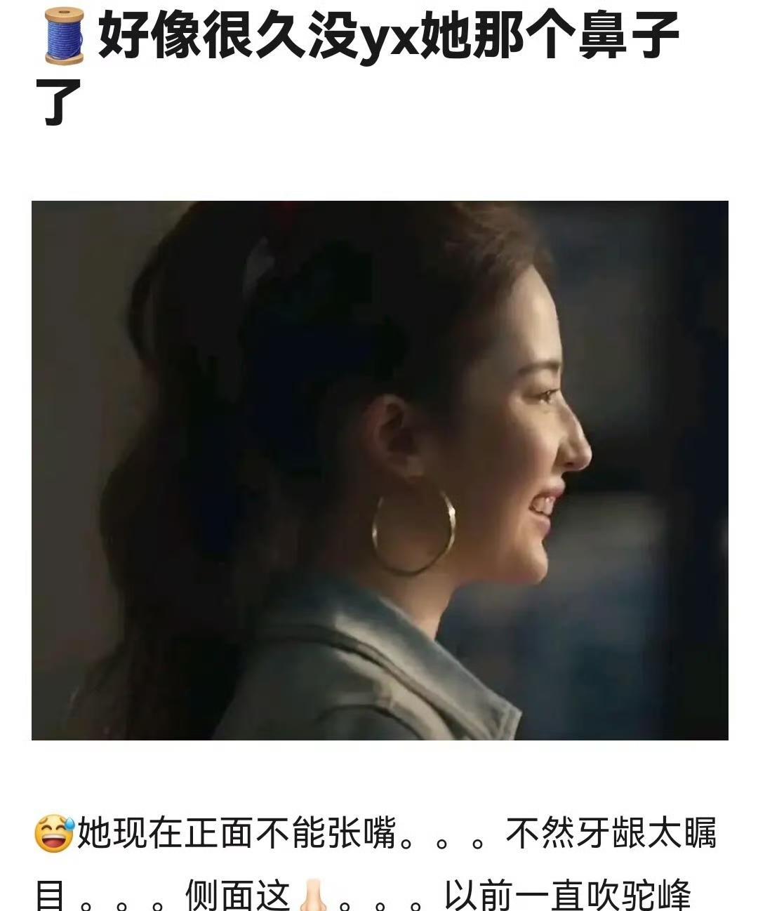 网友说刘亦菲侧脸也朝着王楚然的方向发展了