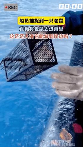 船员在船上捉到一只老鼠，将它丢入大海，对于海里的海鲜来说，这不就是一只天上掉下来