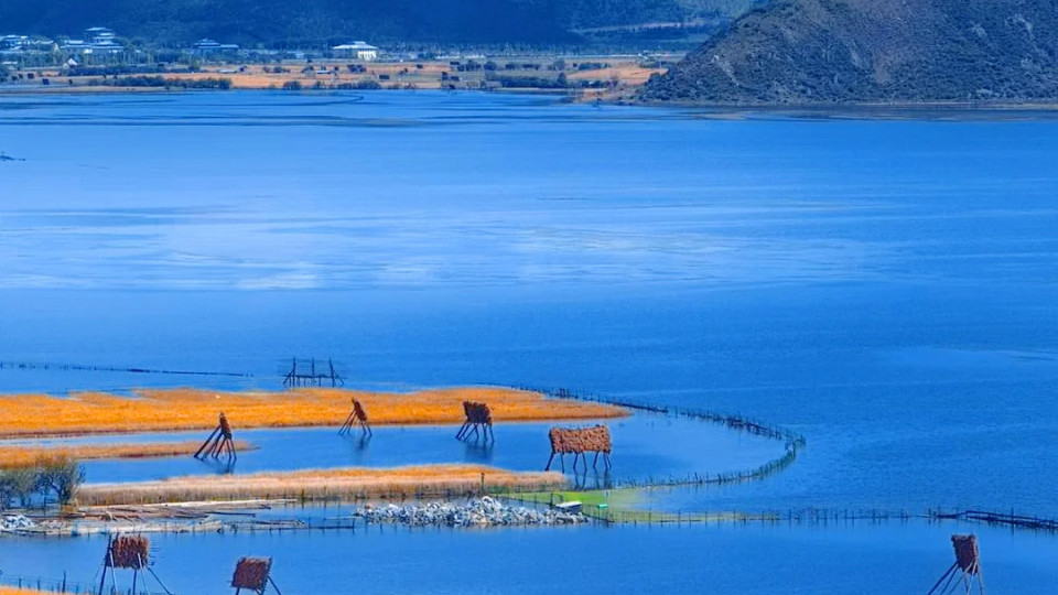 旅居香格里拉：10-11月去香格里拉，才懂什么叫“秋天封神”！