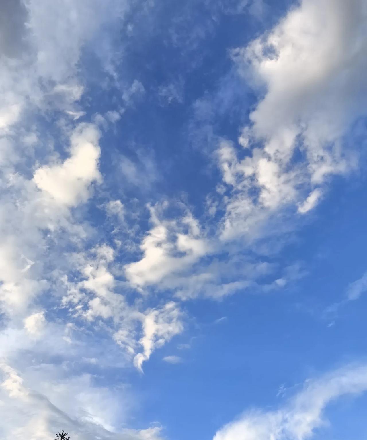 爆出释永信的大瓜，感觉一点也不稀奇。
人一旦有钱了，都会想些乱七八糟的事，个人需