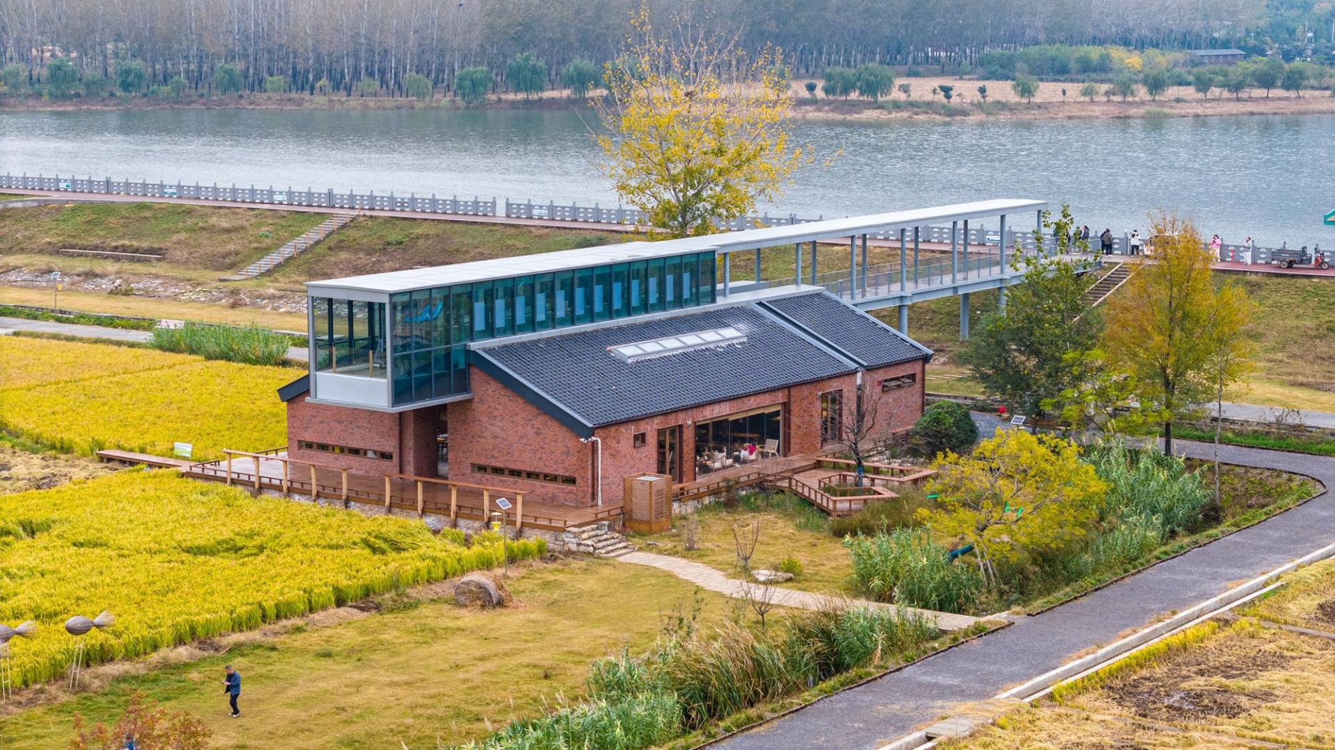 宿州有一座稻田图书馆，远离闹市，在田野中，种一个关于阅读的梦