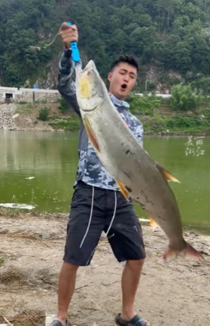 “命中注定！”浙江丽水，一名男子在桥下钓鱼时，钓到了一条足足40多斤重、1米7长