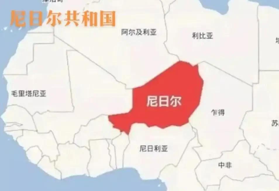 中国人种树，还没来得及乘凉，先被尼日尔军政府摘桃。
我们用了20多年，投资了几十