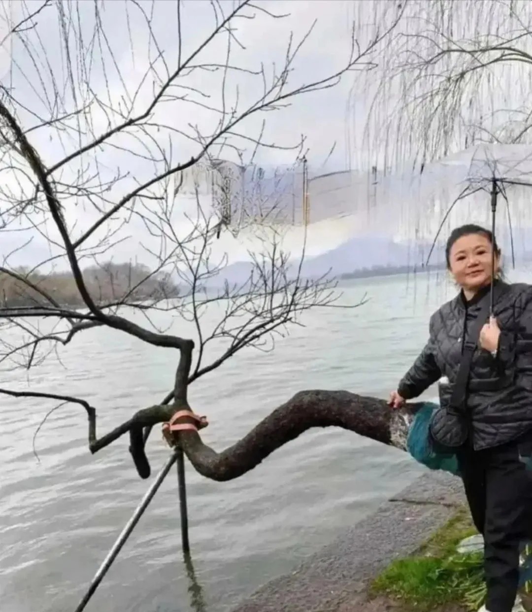 帮婆婆拍的照片，还可以吧，