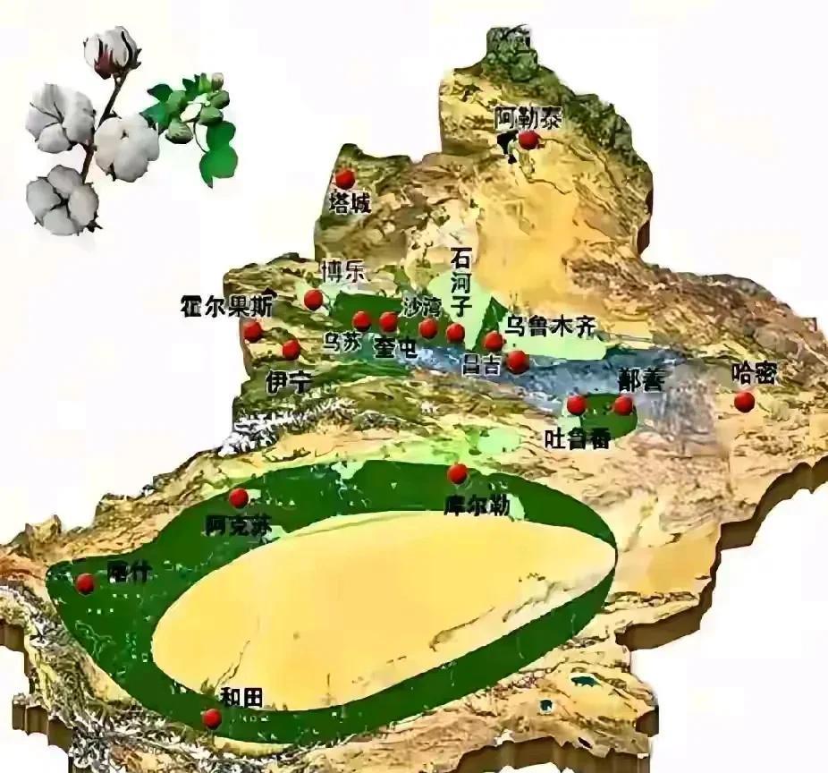 新疆这几个地方将是未来很多人翻身的地方，大家还记得霍启刚去新疆去的那几个地方吧！
